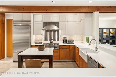 256 Twining Flats Road, Aspen, CO 81611 - Photo 11