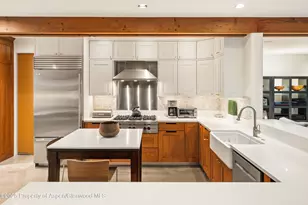 256 Twining Flats Rd, Aspen, CO 81611 - Photo 13
