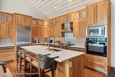 256 Twining Flats Road, Aspen, CO 81611 - Photo 25