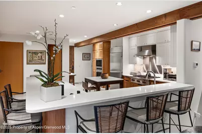 256 Twining Flats Road, Aspen, CO 81611 - Photo 13