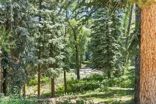 256 Twining Flats Rd, Aspen, CO 81611 - Photo 37