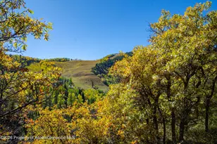 1470 Tiehack Rd, Aspen, CO 81611 - Photo 85