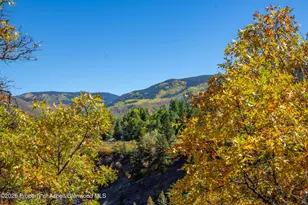 1470 Tiehack Rd, Aspen, CO 81611 - Photo 97