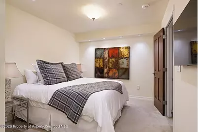 213 W Bleeker Street, Aspen, CO 81611 - Photo 13