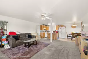 4600 Co Rd 154, Glenwood Springs, CO 81601 - Photo 17