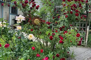 1005 Crown Dr, Carbondale, CO 81623 - Photo 3