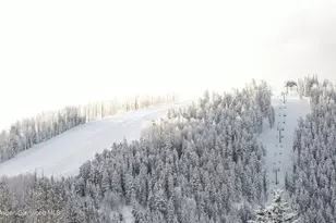 140 Basalt Center Cir, Basalt, CO 81621 - Photo 13