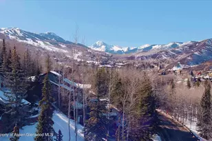 291 Faraway Rd, Snowmass Village, CO 81615 - Photo 35