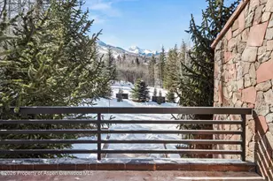 291 Faraway Rd, Snowmass Village, CO 81615 - Photo 51