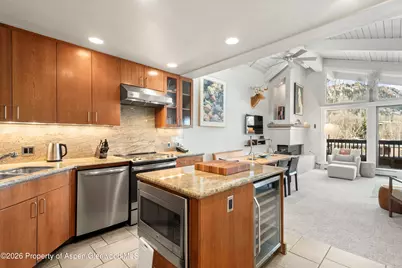 610 S West End Street #H403, Aspen, CO 81611 - Photo 11