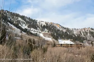 610 S West End St, Aspen, CO 81611 - Photo 9