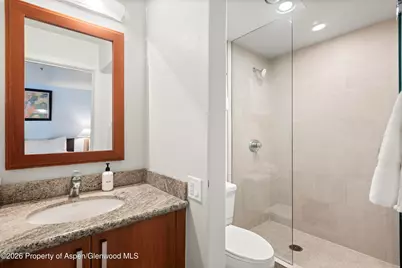 610 S West End Street #H403, Aspen, CO 81611 - Photo 19