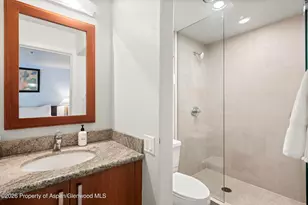 610 S West End St, Aspen, CO 81611 - Photo 19