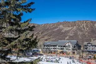 400 Wood Rd, Snowmass Village, CO 81615 - Photo 9