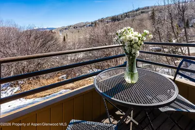 34 Lower Woodbridge Road #149, Snowmass Village, CO 81615 - Photo 13