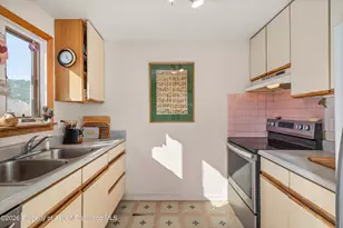 17317 Hwy 82, Carbondale, CO 81623 - Photo 9