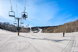 11101 Co Rd 117, Glenwood Springs, CO 81601 - Photo 13