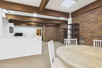 215 S Monarch Street #G101, Aspen, CO 81611 - Photo 7