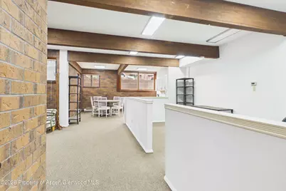 215 S Monarch Street #G101, Aspen, CO 81611 - Photo 3