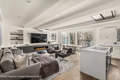 1039 E Cooper Avenue #20, Aspen, CO 81611 - Photo 3