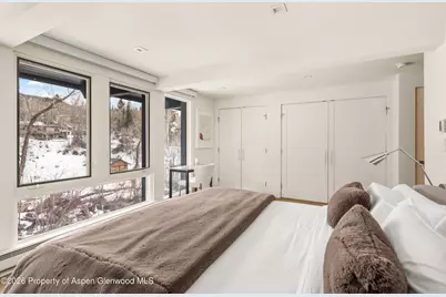 1039 E Cooper Avenue #20, Aspen, CO 81611 - Photo 13