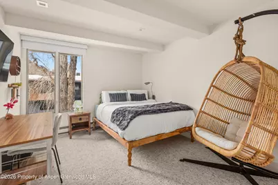 1039 E Cooper Avenue #20, Aspen, CO 81611 - Photo 17