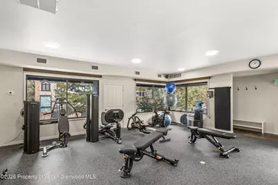 1039 E Cooper Avenue #20, Aspen, CO 81611 - Photo 21