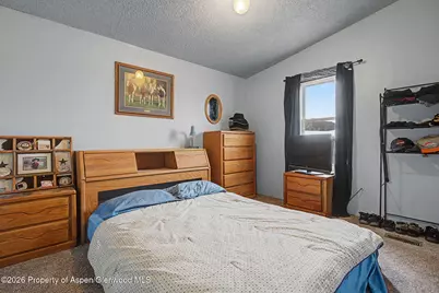 961 County Road 266, Silt, CO 81652 - Photo 17