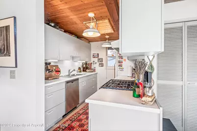 1227 Mountain View Drive #Units 1 & 2, Aspen, CO 81611 - Photo 3