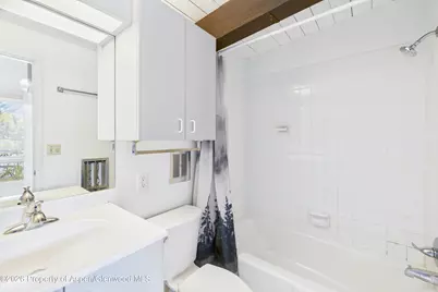1227 Mountain View Drive #Units 1 & 2, Aspen, CO 81611 - Photo 9
