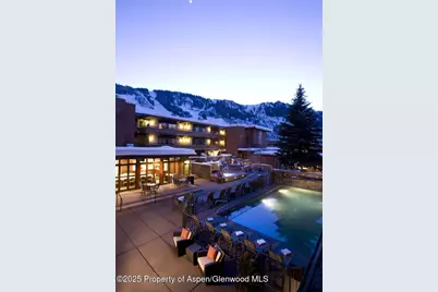 617 E Cooper Avenue #Unit 110, Aspen, CO 81611 - Photo 3