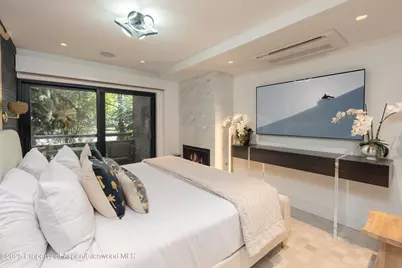 617 E Cooper Avenue #Unit 110, Aspen, CO 81611 - Photo 13