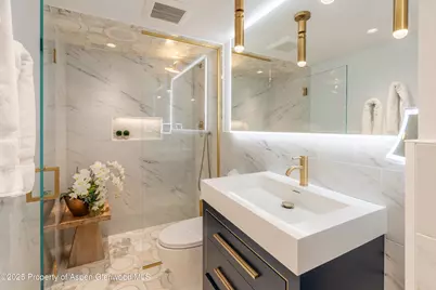 617 E Cooper Avenue #Unit 110, Aspen, CO 81611 - Photo 21