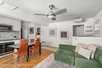 250 S Original Street #D, Aspen, CO 81611 - Photo 3