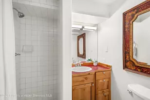 250 S Original St, Aspen, CO 81611 - Photo 9