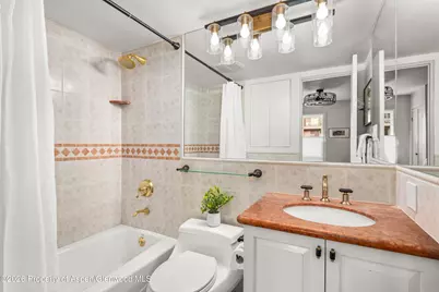 250 S Original Street #D, Aspen, CO 81611 - Photo 5