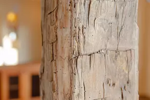 328 Los Adobes Dr, Carbondale, CO 81623 - Photo 35