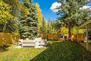 1195 E Cooper Ave, Aspen, CO 81611 - Photo 17