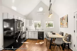 1195 E Cooper Ave, Aspen, CO 81611 - Photo 21