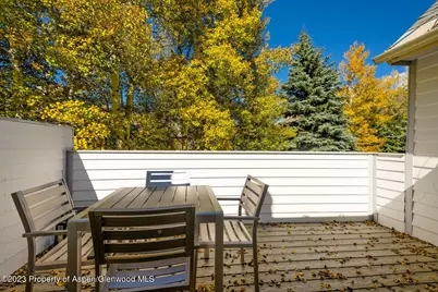 1195 E Cooper Avenue #Unit A, Aspen, CO 81611 - Photo 19