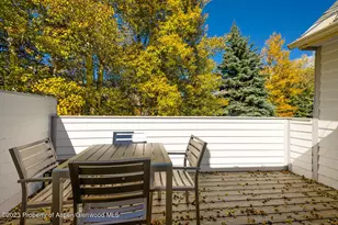 1195 E Cooper Ave, Aspen, CO 81611 - Photo 19