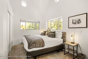 1195 E Cooper Ave, Aspen, CO 81611 - Photo 25