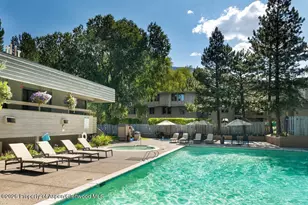 1039 E Cooper Ave, Aspen, CO 81611 - Photo 9