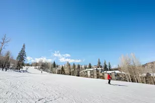 855 Carriage Way, Snowmass, CO 81615 - Photo 33