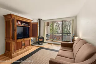 236 Vine St, Aspen, CO 81611 - Photo 3