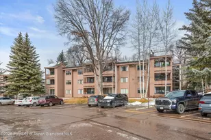 236 Vine St, Aspen, CO 81611 - Photo 15