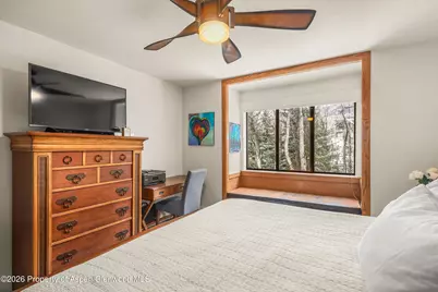 236 Vine Street, Aspen, CO 81611 - Photo 13