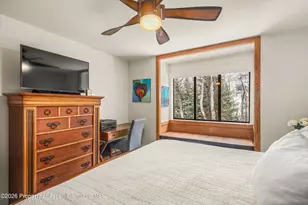 236 Vine St, Aspen, CO 81611 - Photo 13