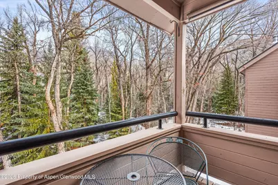 236 Vine Street, Aspen, CO 81611 - Photo 7