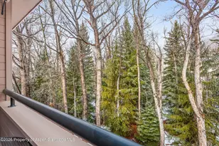 236 Vine St, Aspen, CO 81611 - Photo 9